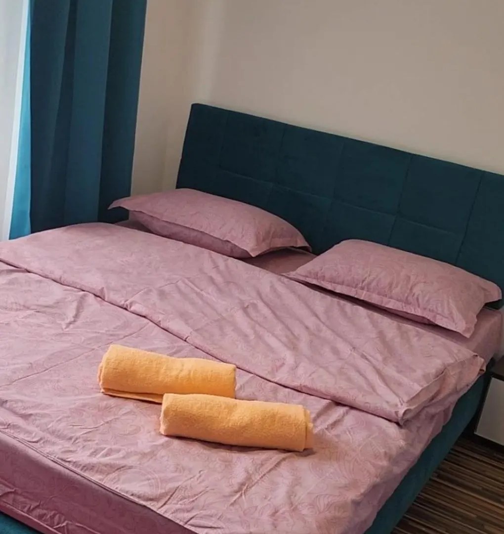 Apartament Cochet Cozy Gara De Nord Metrou Bucharest